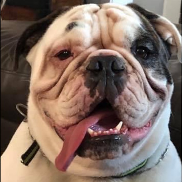 Meet your Posher, Sandra - Picture 3 of 12